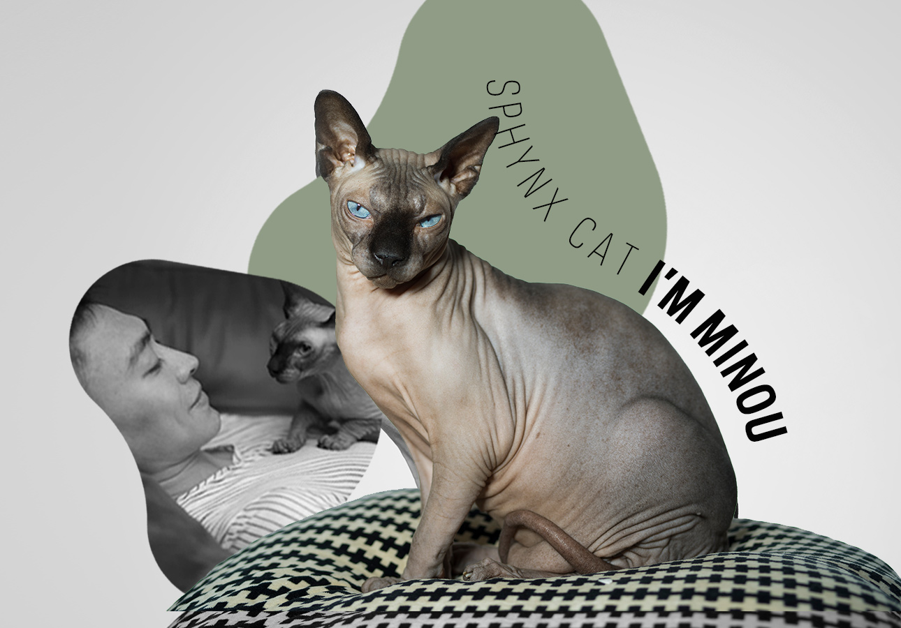 Gucci beb猫 sales